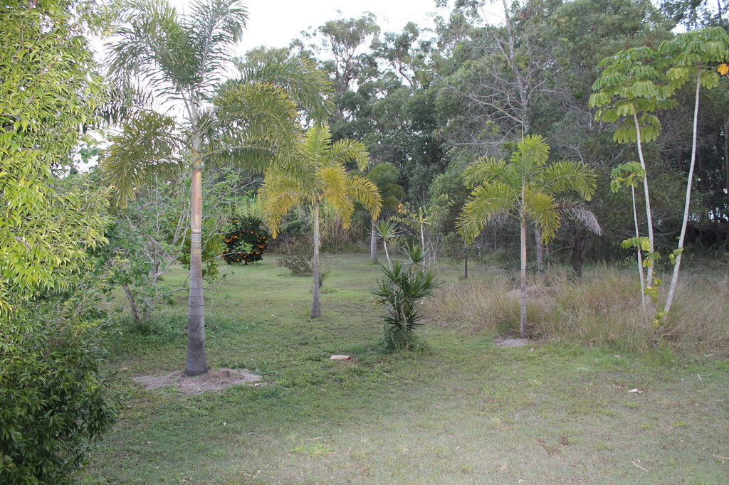 400 BIRTHAMBA RD, SOUTH KOLAN, 4670