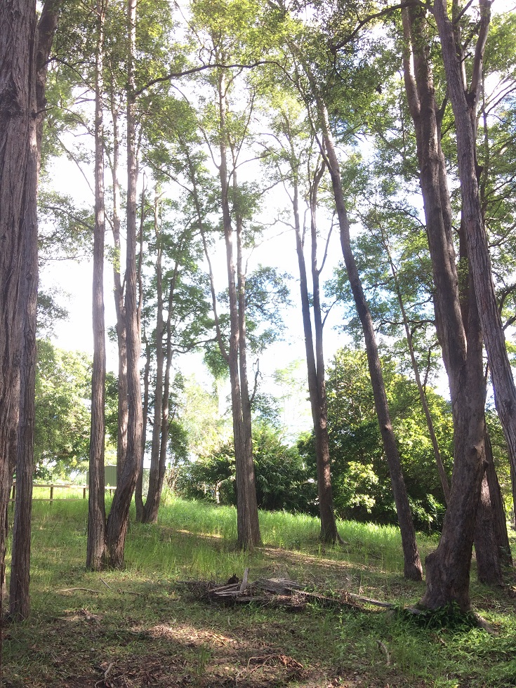 LOT 9 / 34 SUMMIT ROAD, POMONA, 4568