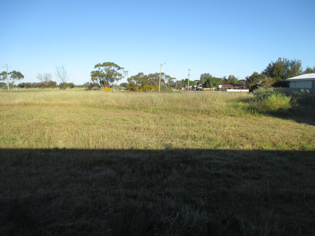 23 GLYDE STREET, THREE SPRINGS, 6519