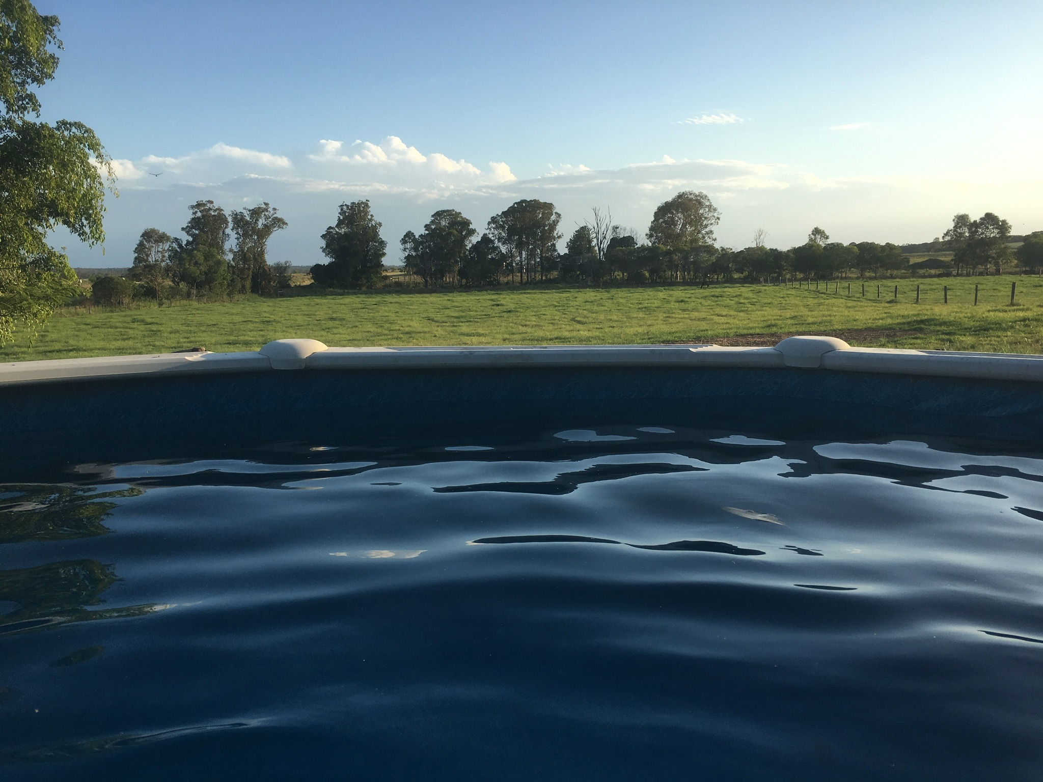 224 ABBOTSFORD MOUNTAIN ROAD, BUCCA, 4670