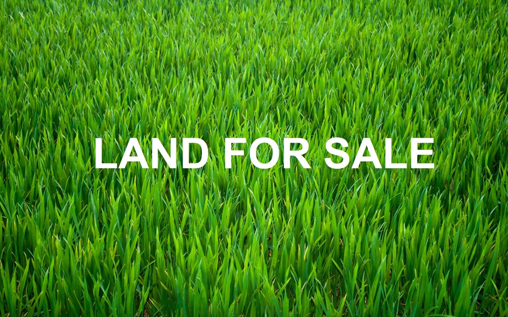 LOT 214 PASSION CRESCENT, TARNEIT, 3029