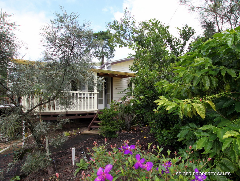 19 HYATT STREET, TULLY, 4854