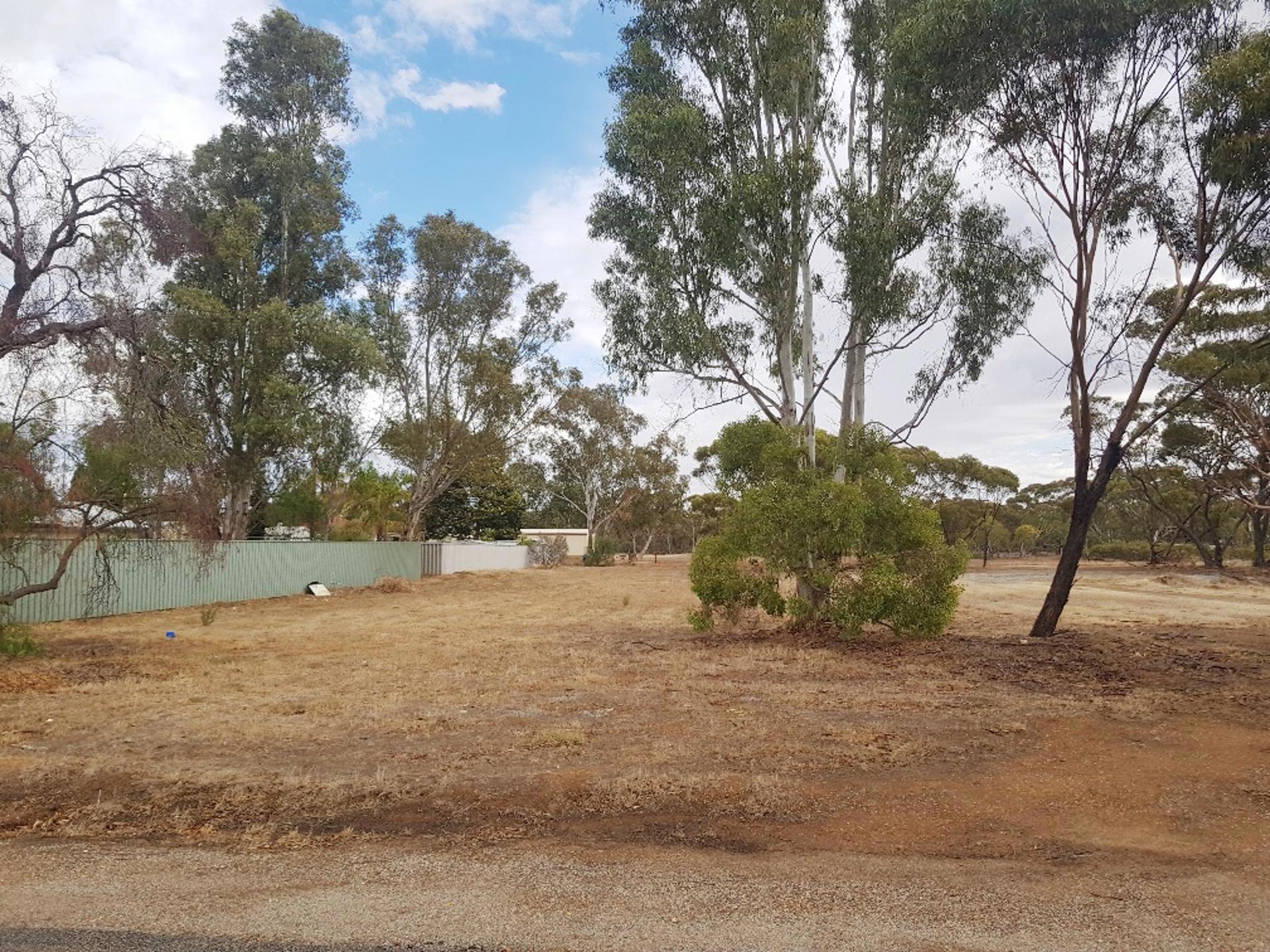 6 WARD STREET, MOORA, 6510