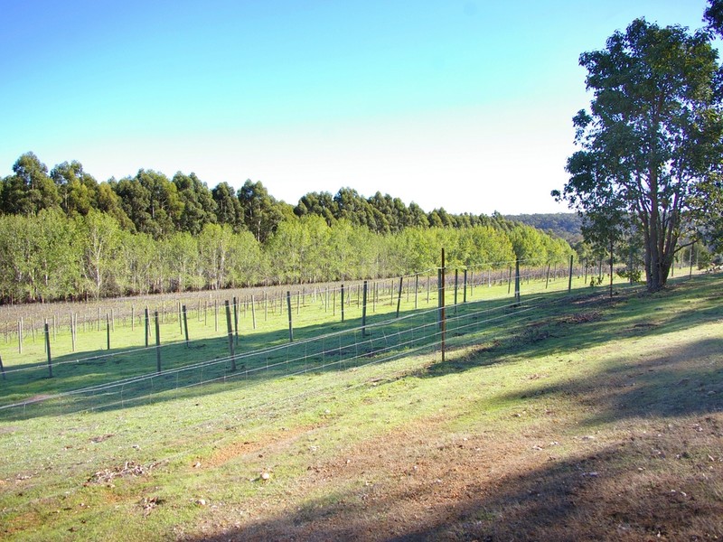 2895 BARRABUP ROAD, NANNUP, 6275