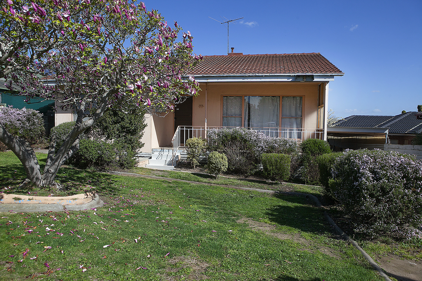 77 TRISTANIA STREET, DOVETON, 3177