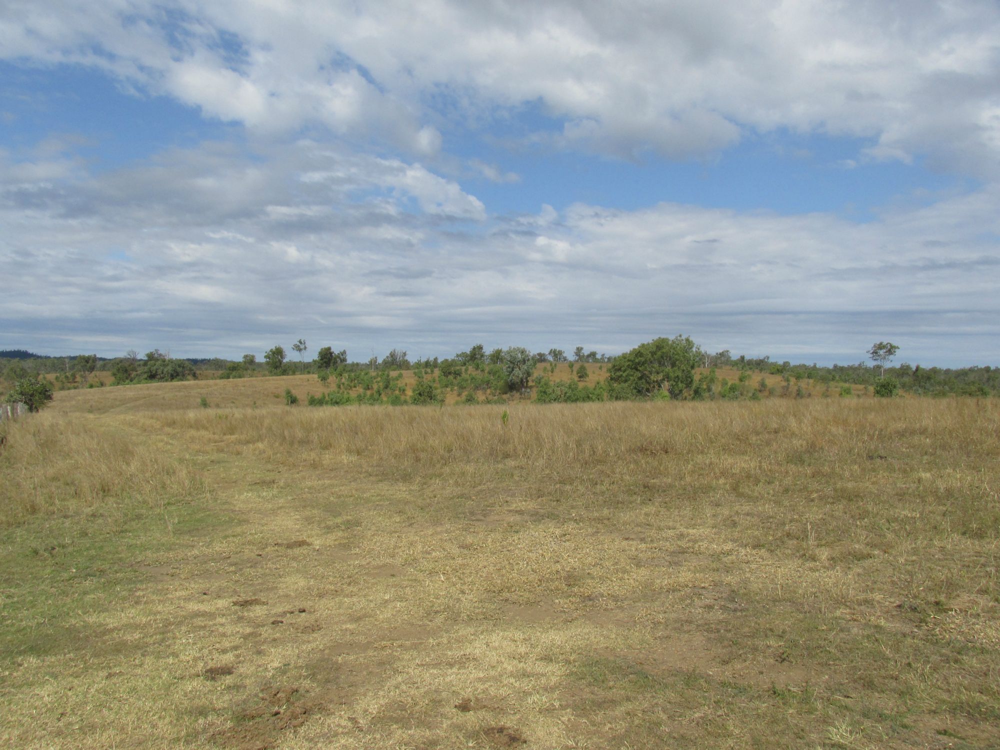 L26 TENNINGERING ROAD, GOOD NIGHT, 4671