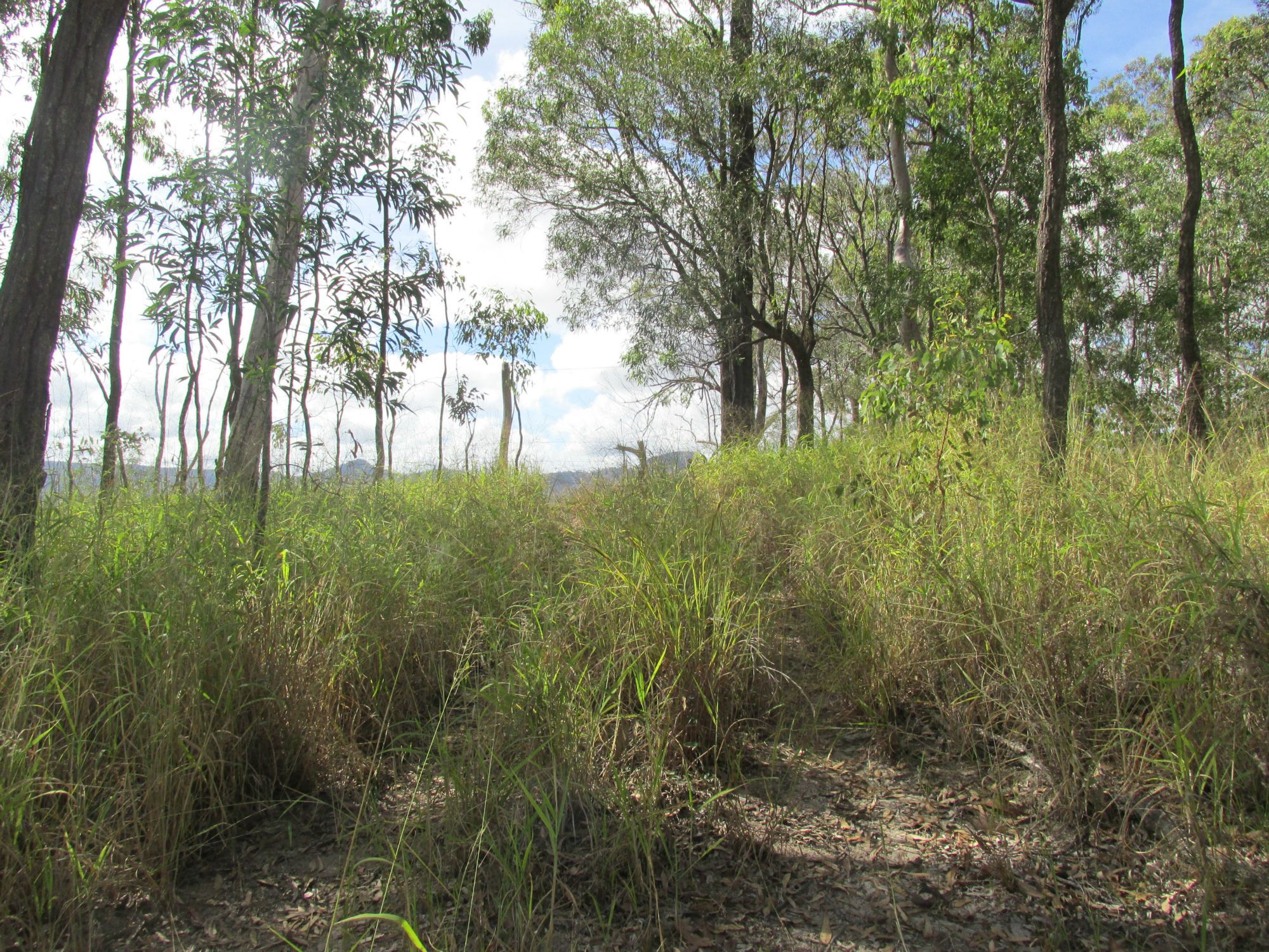 LOT 6 MONTO-MOUNT PERRY ROAD, MOUNT PERRY, 4671