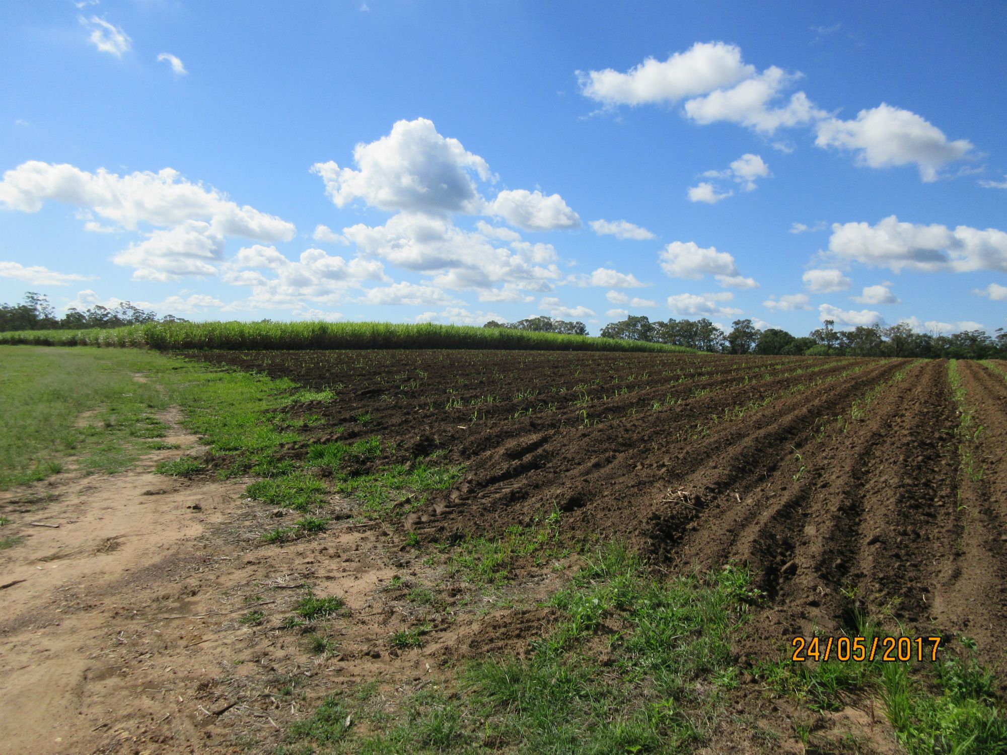 LOT 3 GOONDOON ROAD, BUCCA, 4670