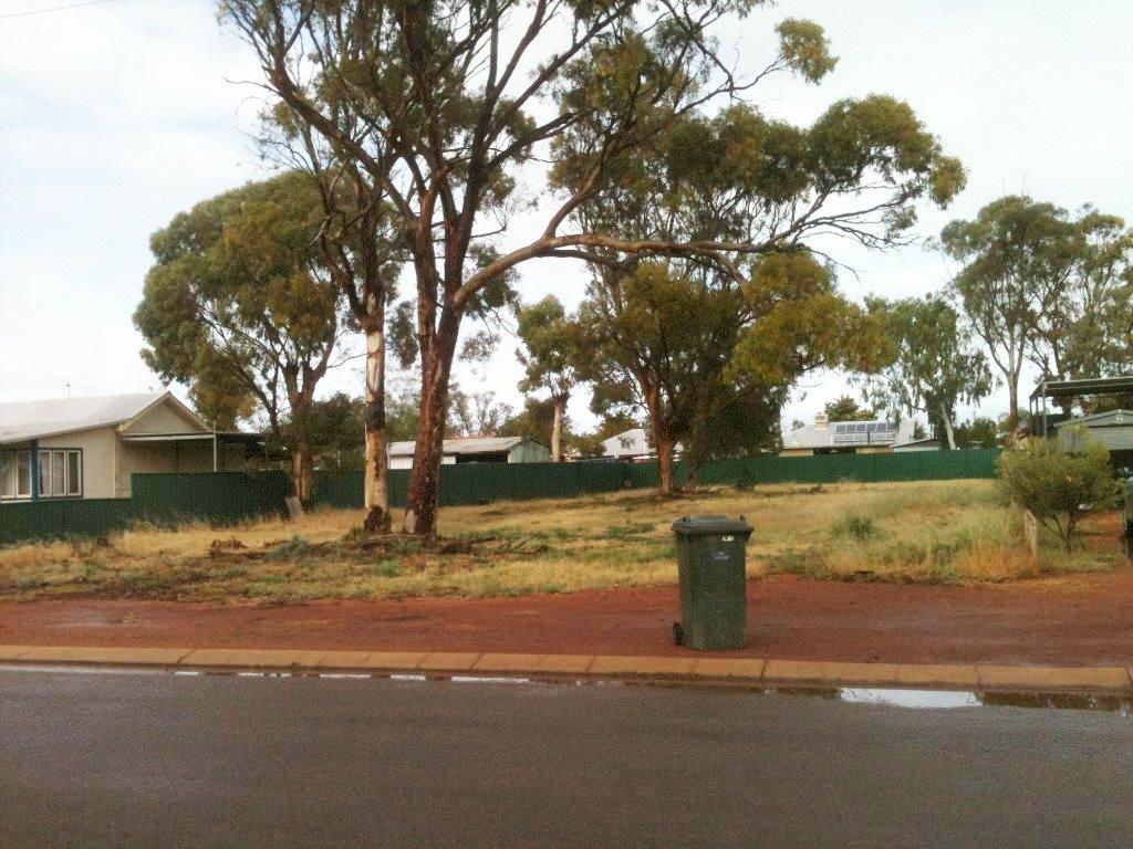 LOT 183 CARTER STREET, THREE SPRINGS, 6519