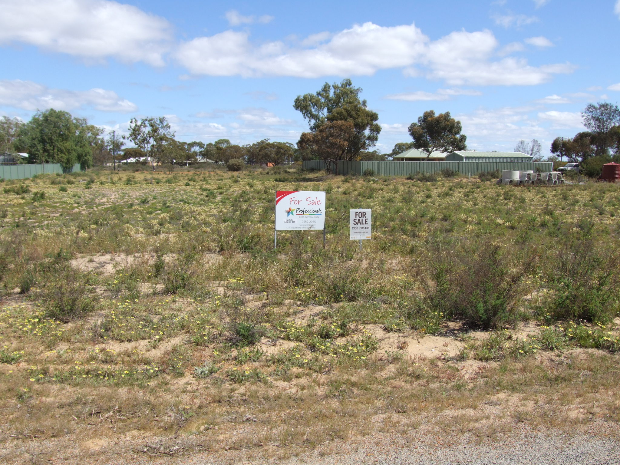 LOT 113 STATION STREET, COOROW, 6515
