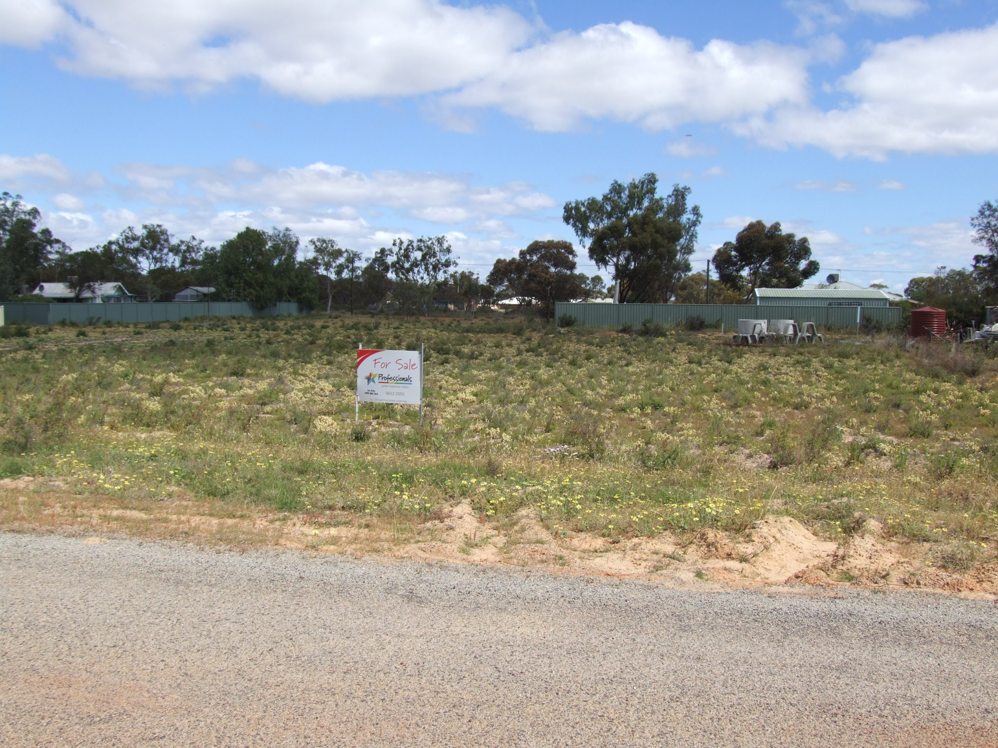 LOT 112 STATION STREET, COOROW, 6515