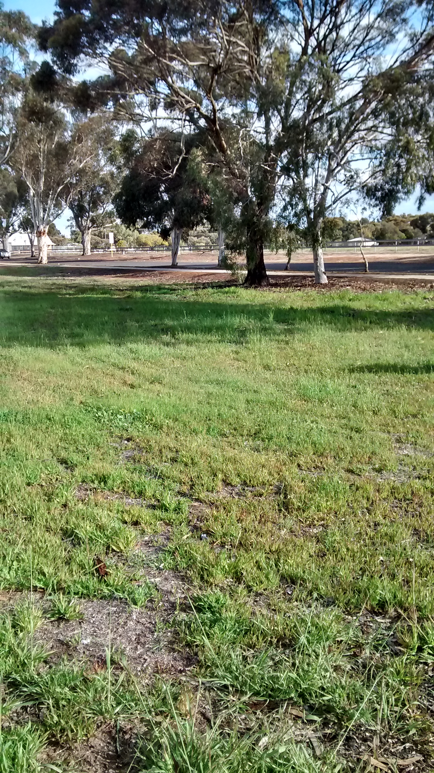 2 TUDHOE STREET, WAGIN, 6315