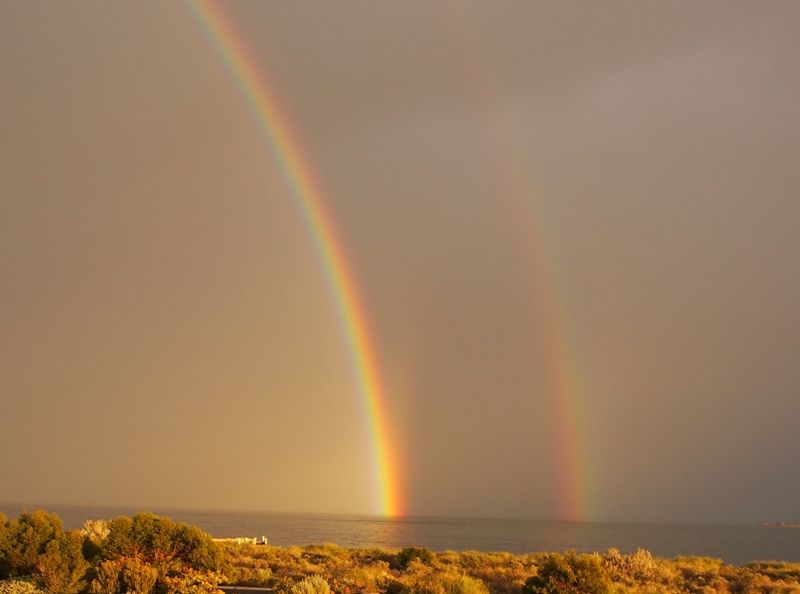 L1199 GYPSUM STREET, JURIEN BAY, 6516