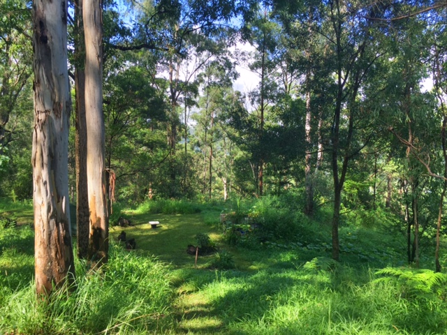689 STONY CHUTE ROAD, NIMBIN, 2480