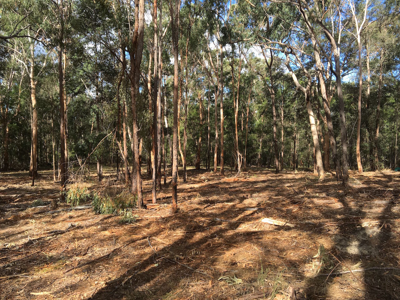1006A COMLEROY ROAD, KURRAJONG, 2758