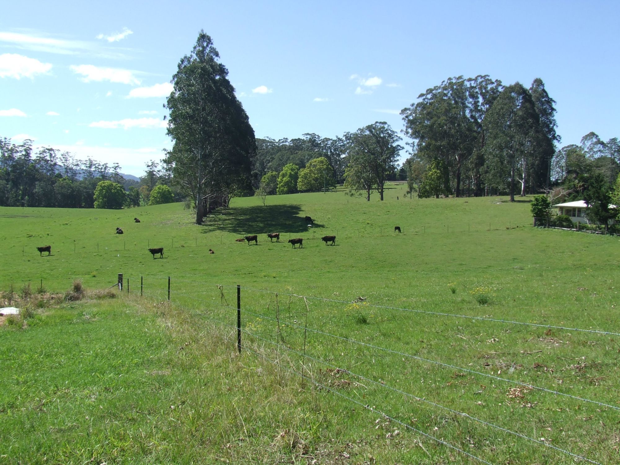 LOT 220 MARDELLS ROAD,  BUCCA, COFFS HARBOUR, 2450