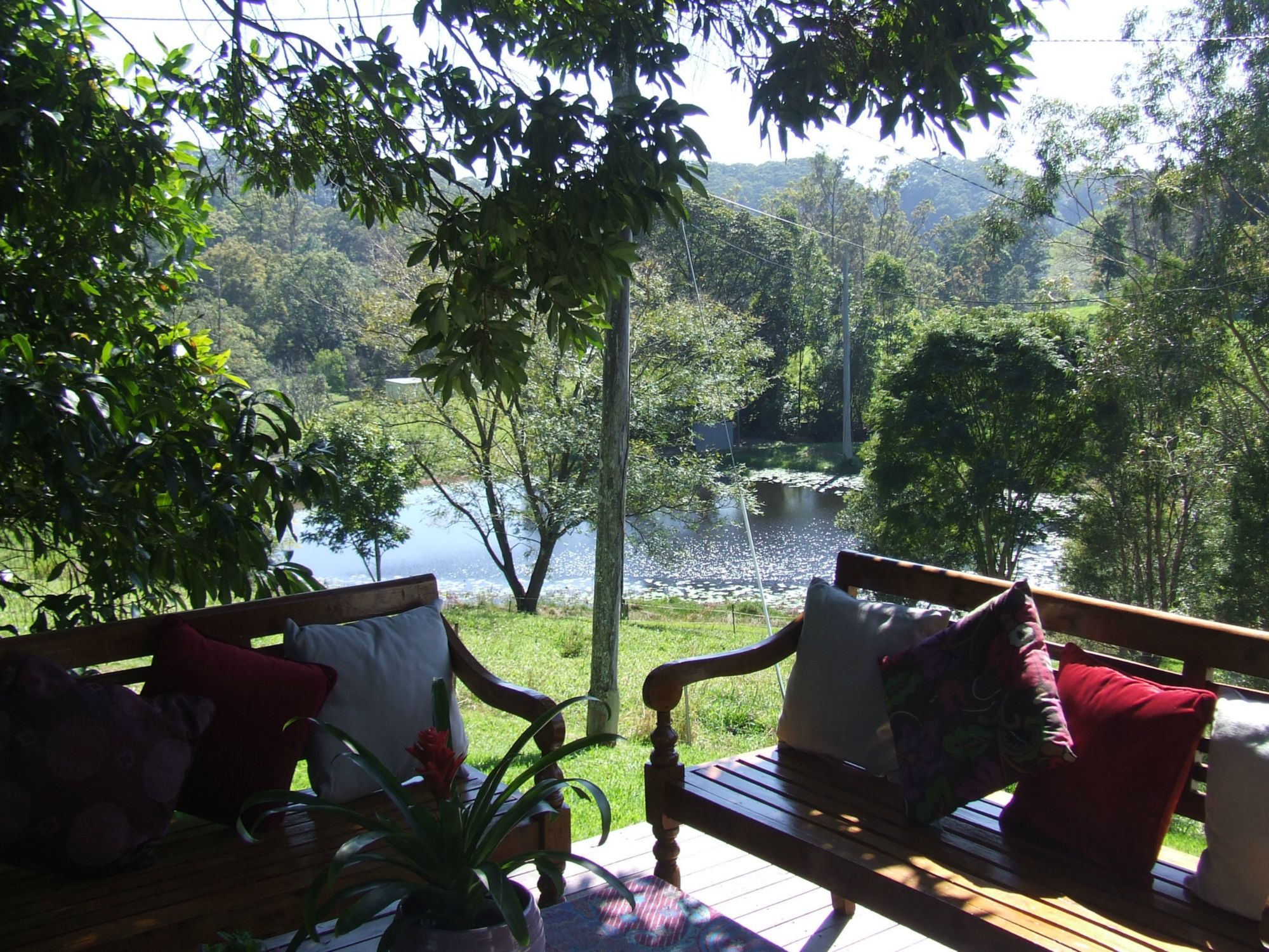 265 SOUTH BOAMBEE ROAD, BOAMBEE, 2450