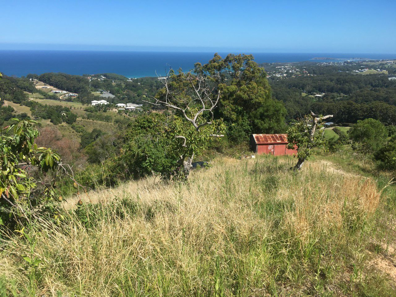 LOT 1 ROWSELLS ROAD, KORORA, 2450