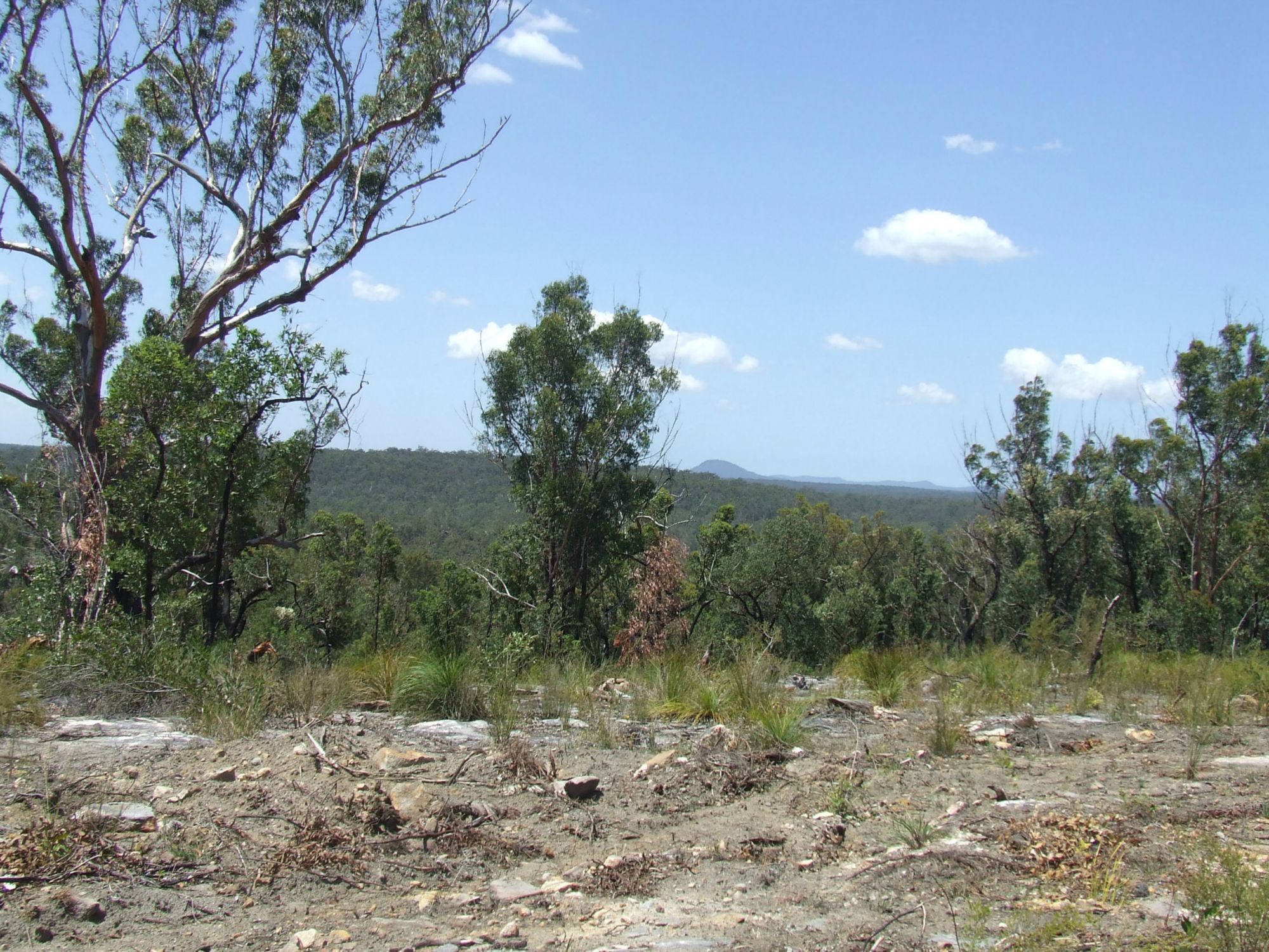 98 BLACKBUTT ROAD, KREMNOS, 2460