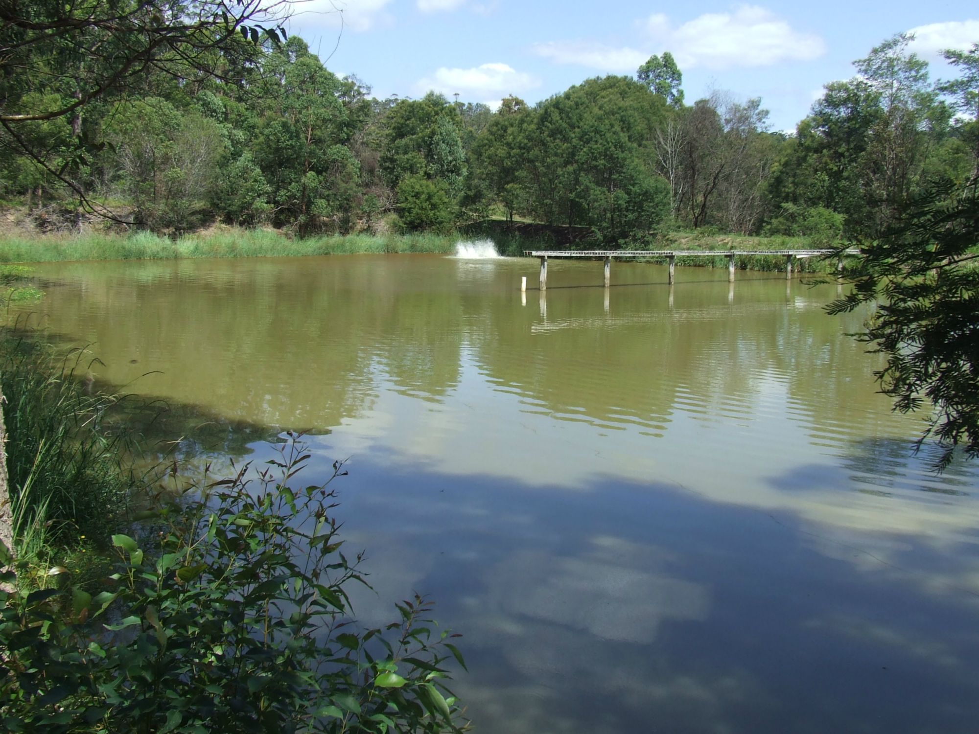 1663 ORARA WAY, GLENREAGH, 2450