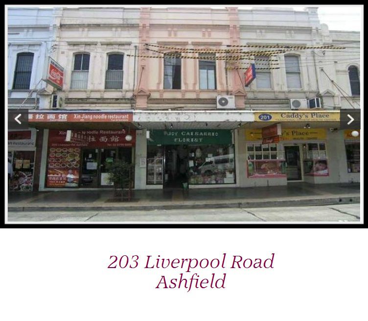 203 LIVERPOOL ROAD, ASHFIELD, 2131