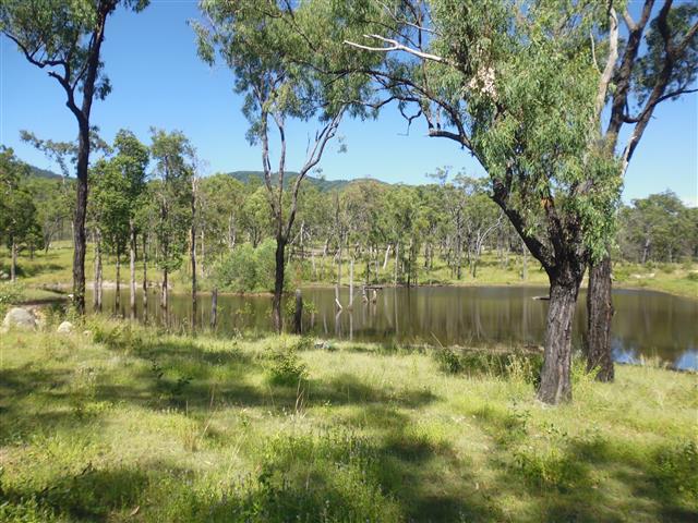 1013 EUREKA ROAD, GOLDEN FLEECE, 4621