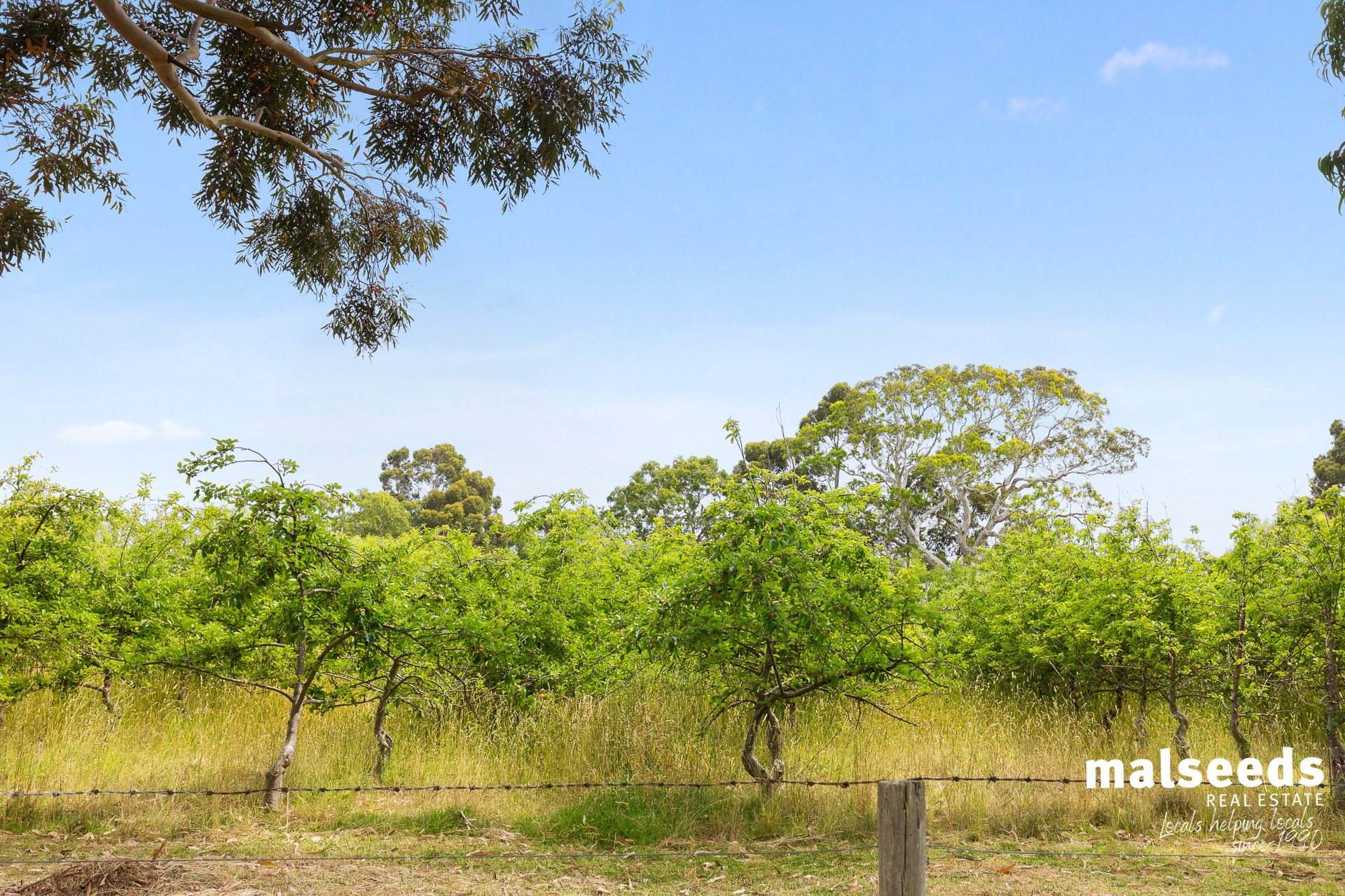 697 Old Kalangadoopenola Road Moerlong, 5278 Sold 3 Bedroom