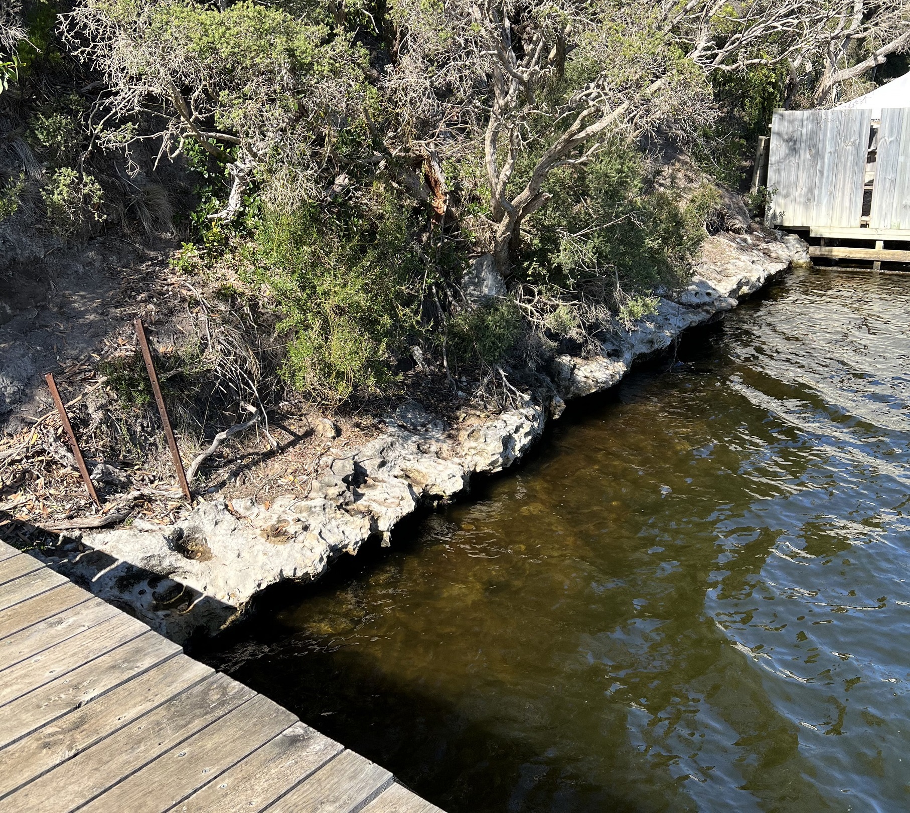  GLENELG , NELSON, 3292