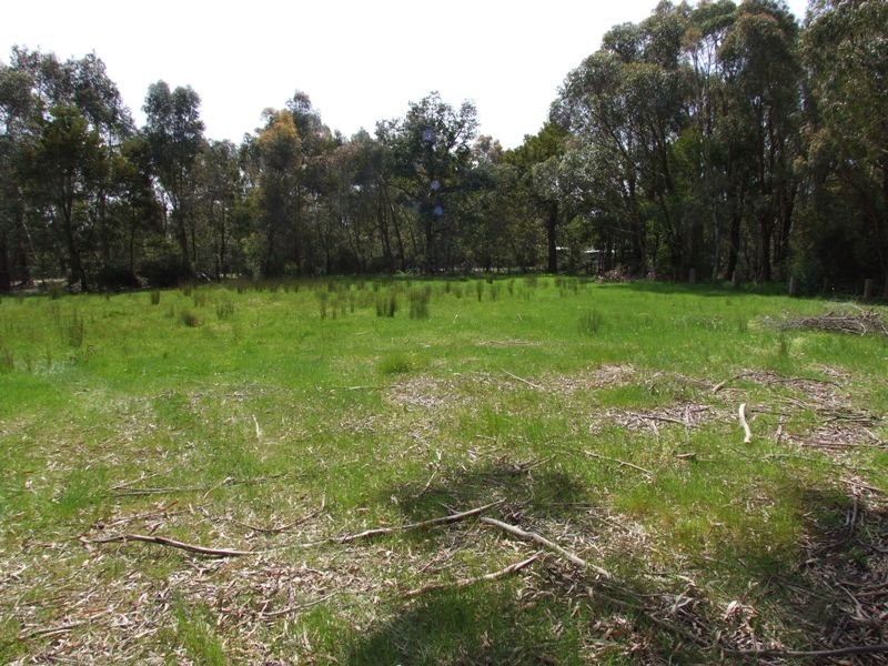 19 CLYDE STREET, SMYTHESDALE, 3351
