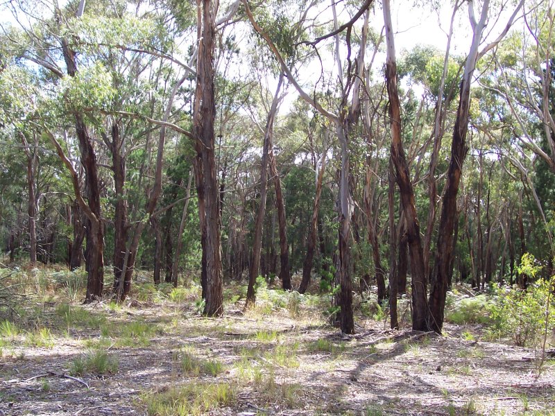  MOUNT DORAN - EGERTON ROAD, MOUNT DORAN, 3334