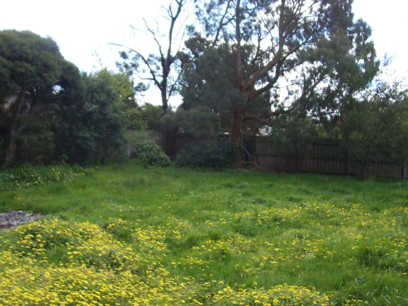 5 JOPLING STREET, BALLAN, 3342
