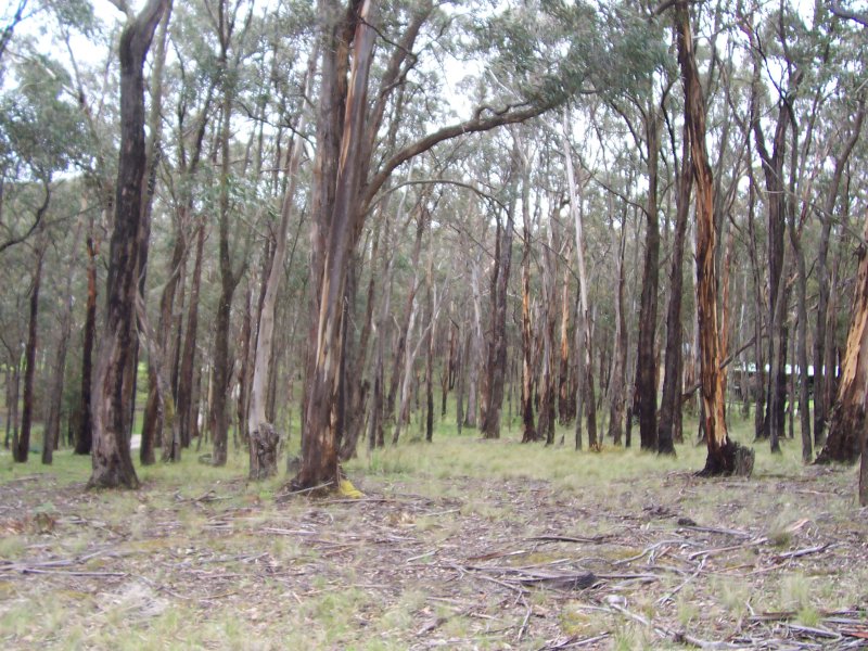  COWANS DRIVE, DALES CREEK, 3341