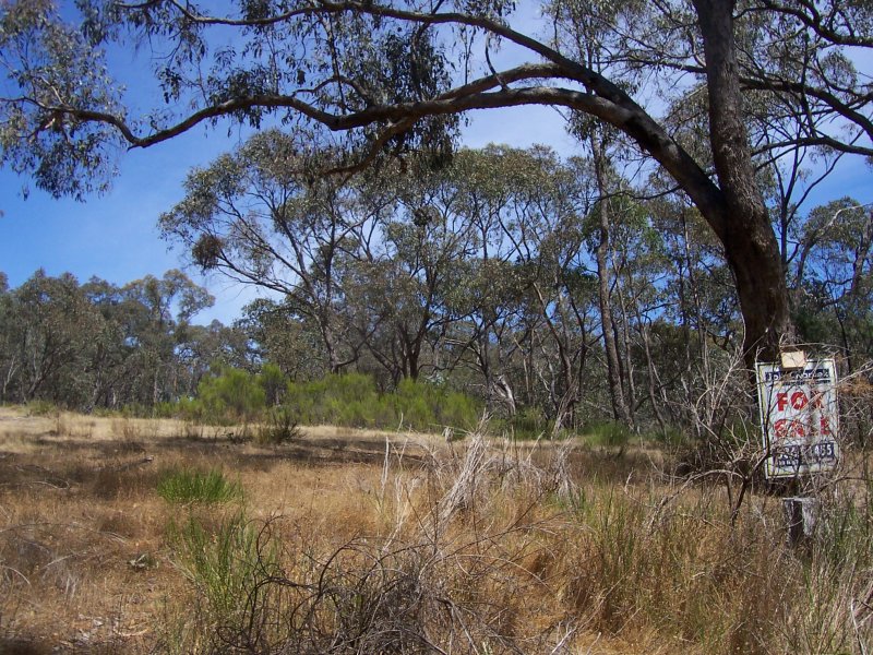 CA37D FRYERS-TARADALE ROAD, TARADALE, 3447