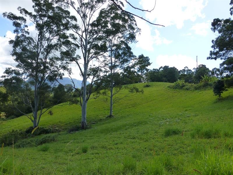 1/929 BLUE KNOB ROAD, BLUE KNOB, 2480