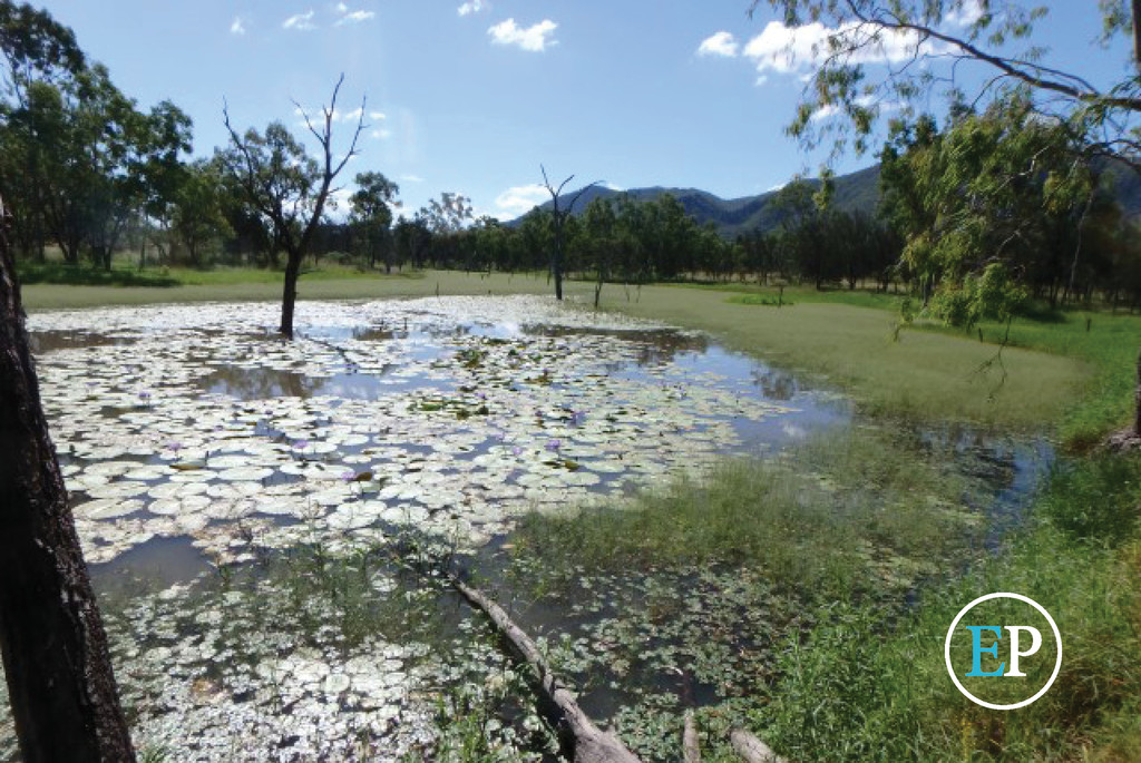 LOT 2 RYANS ROAD, REID RIVER, 4816