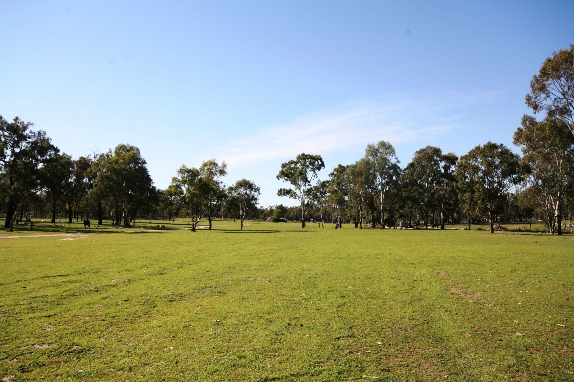 171 REEDY CREEK ROAD, THANES CREEK, 4370