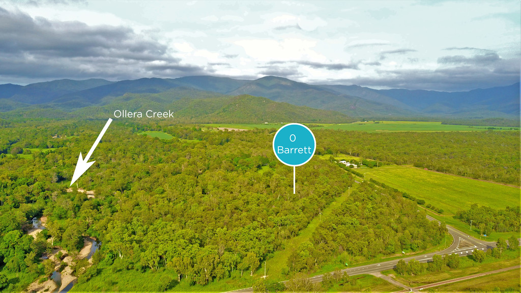 0 BARRETT ROAD, MUTARNEE, 4816
