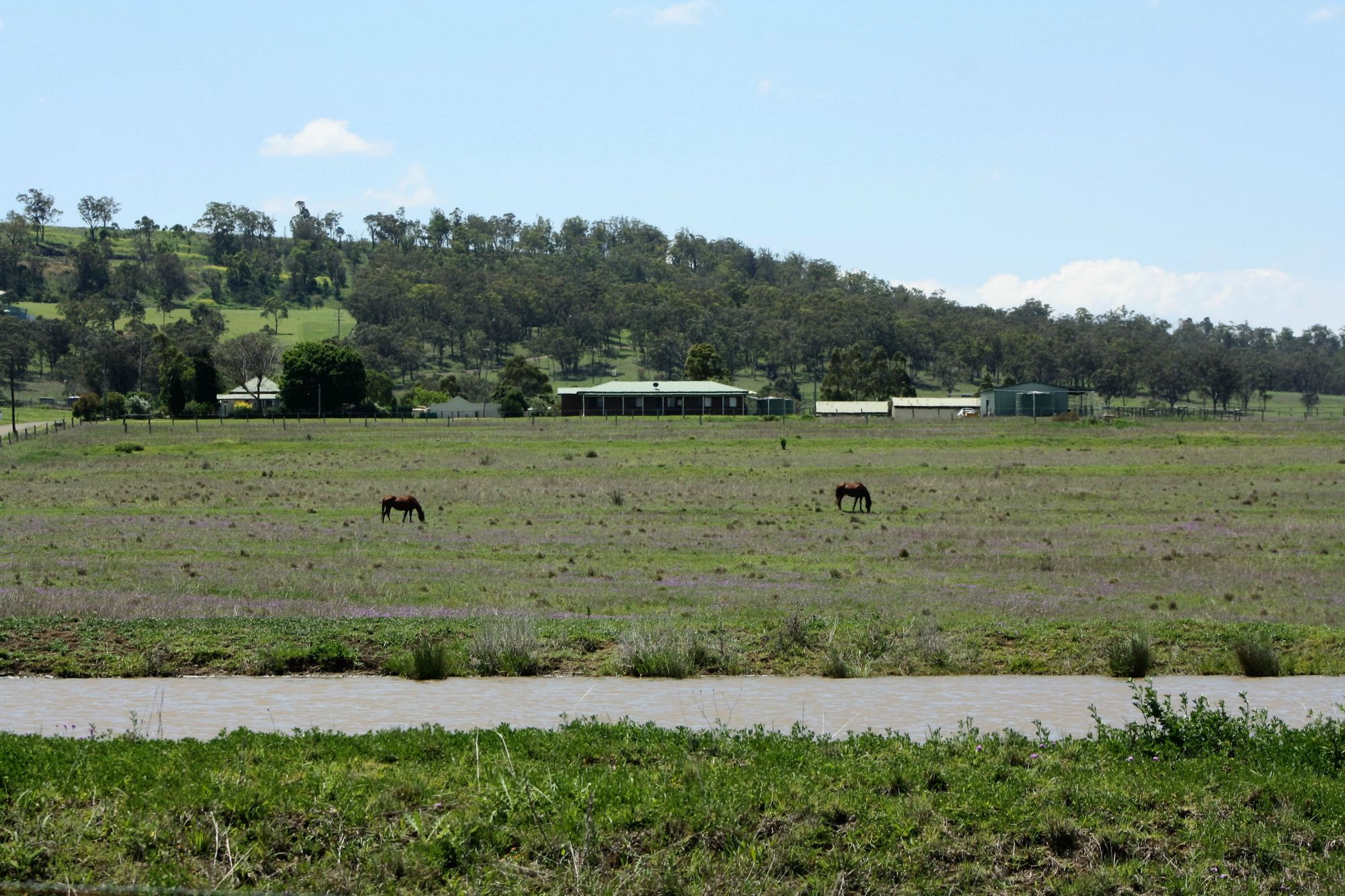 LOT 350 WRIGHTS ROAD, WARWICK, 4370