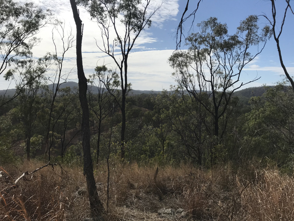 LOT 1 WALTERS ROAD, NEW MOONTA, 4671 LOT 1 WALTERS ROAD, NEW MOONTA, 4671