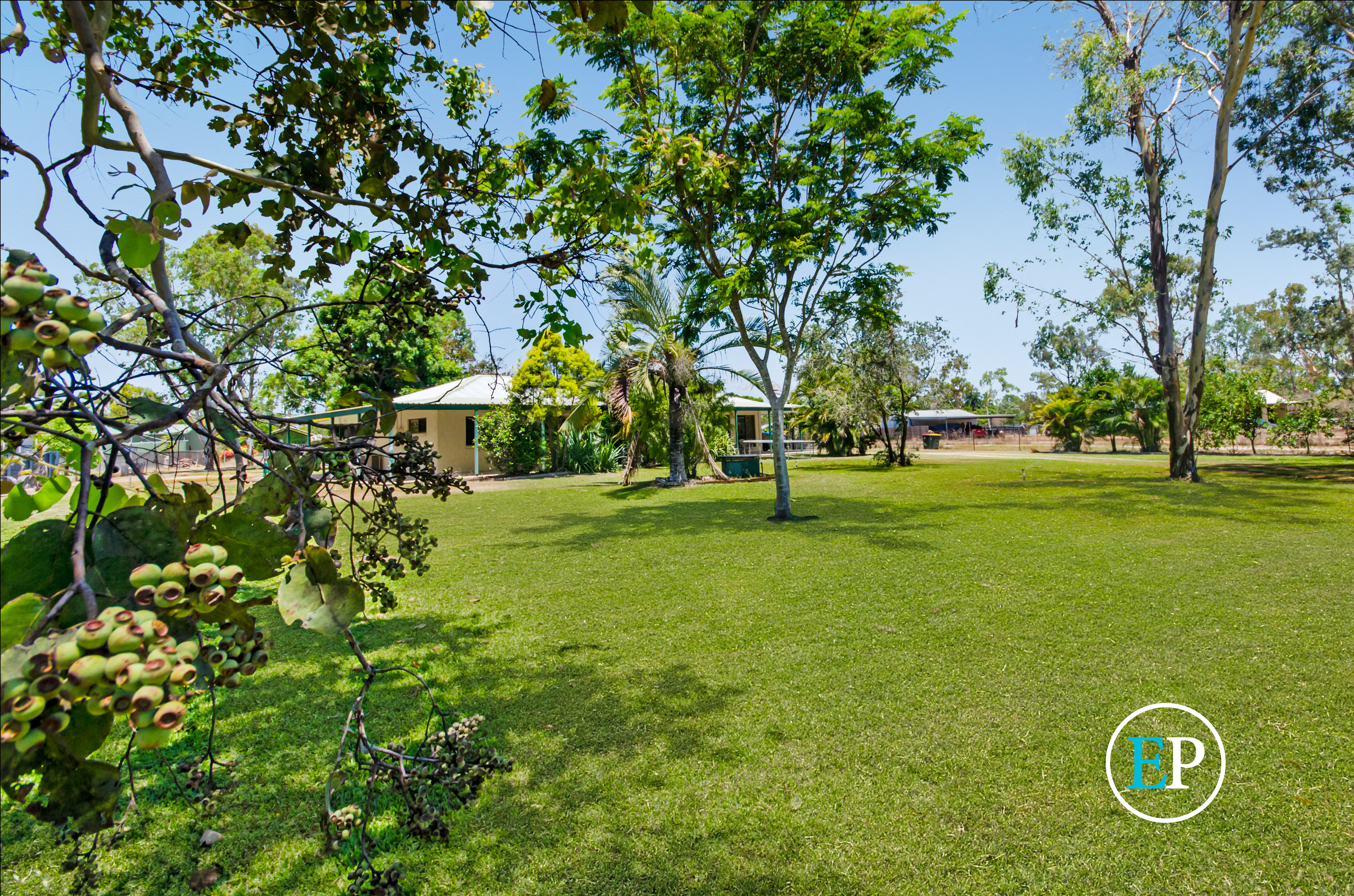 11 FLAGSTONE AVENUE, RANGEWOOD, 4817