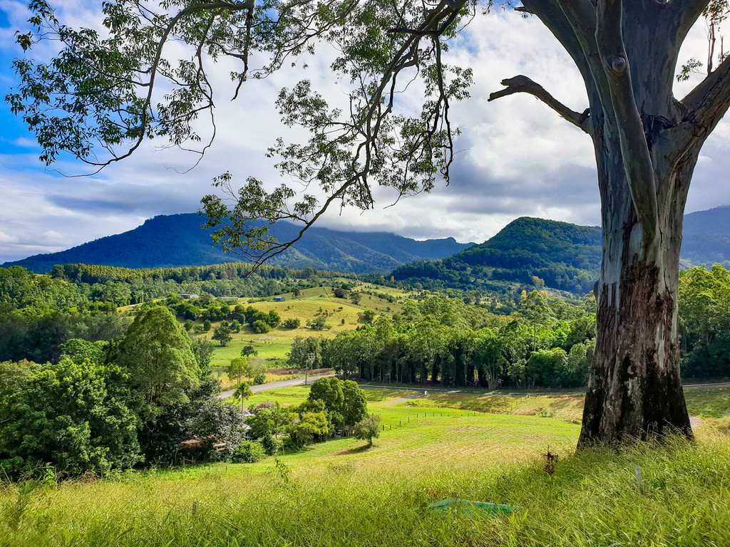 LOTS 1-20 198 GUNGAS ROAD, NIMBIN, 2480