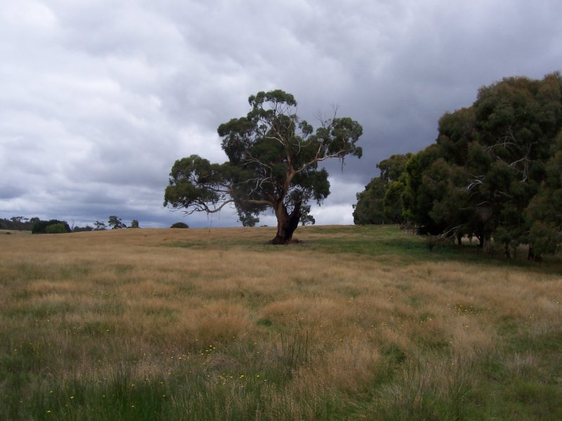 CA87C YENDON ROAD, MOUNT EGERTON, 3352