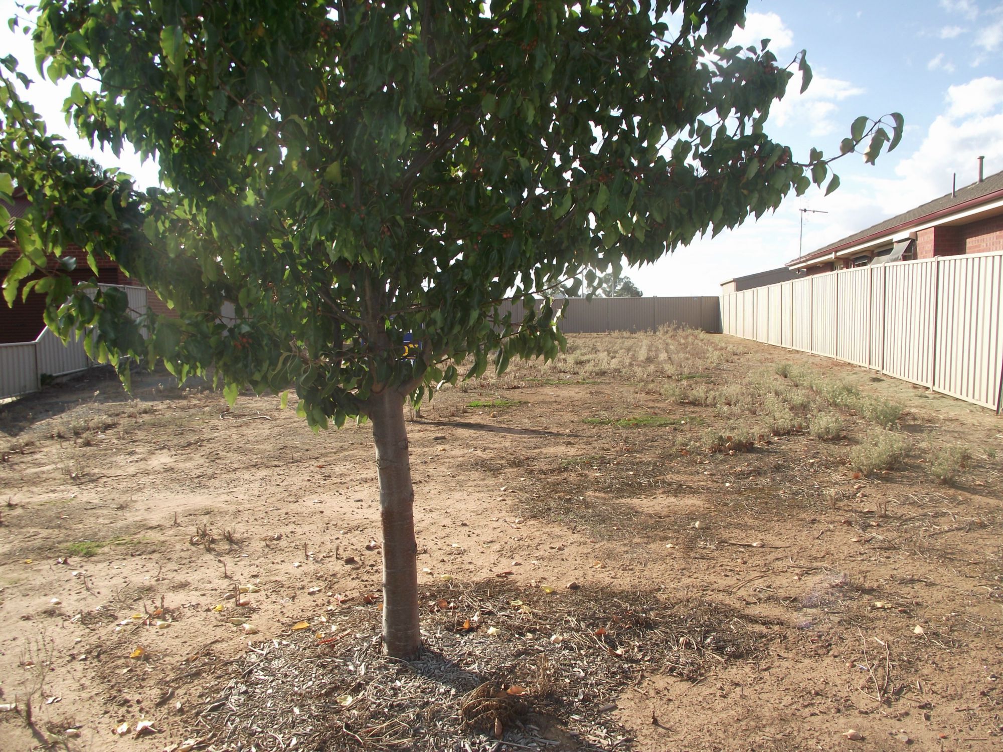 L45 NICHOLAS STREET, SHEPPARTON, 3630