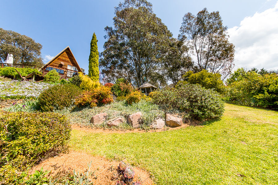 17 SULLIVAN STREET, TOWONG, 3707