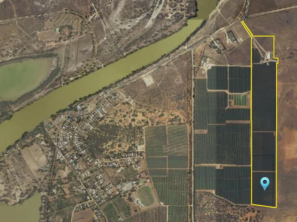 184 STOTT HIGHWAY, SWAN REACH, 5354