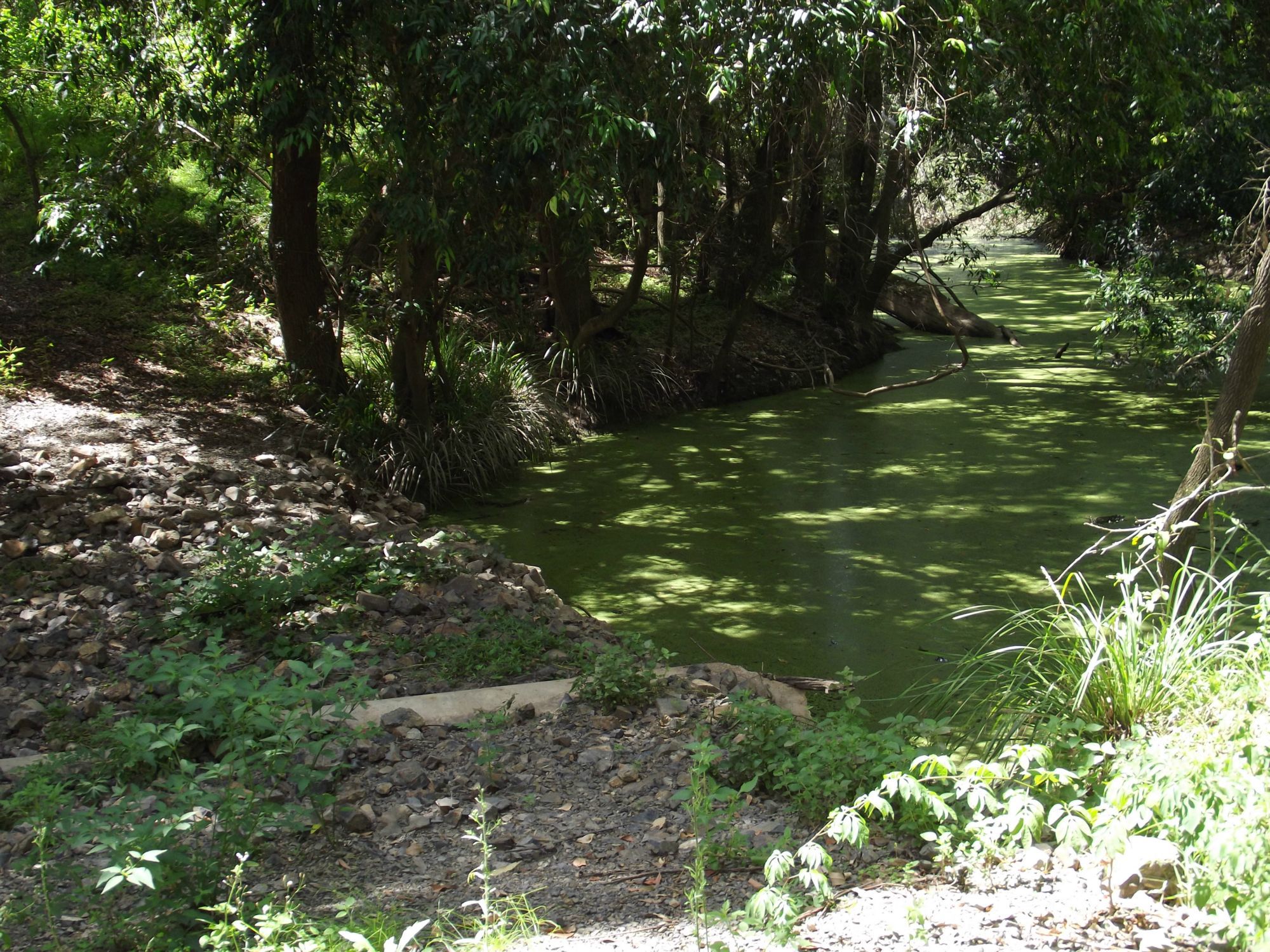 LOT 30 CORFIELD DRIVE, BOOYAL, 4671