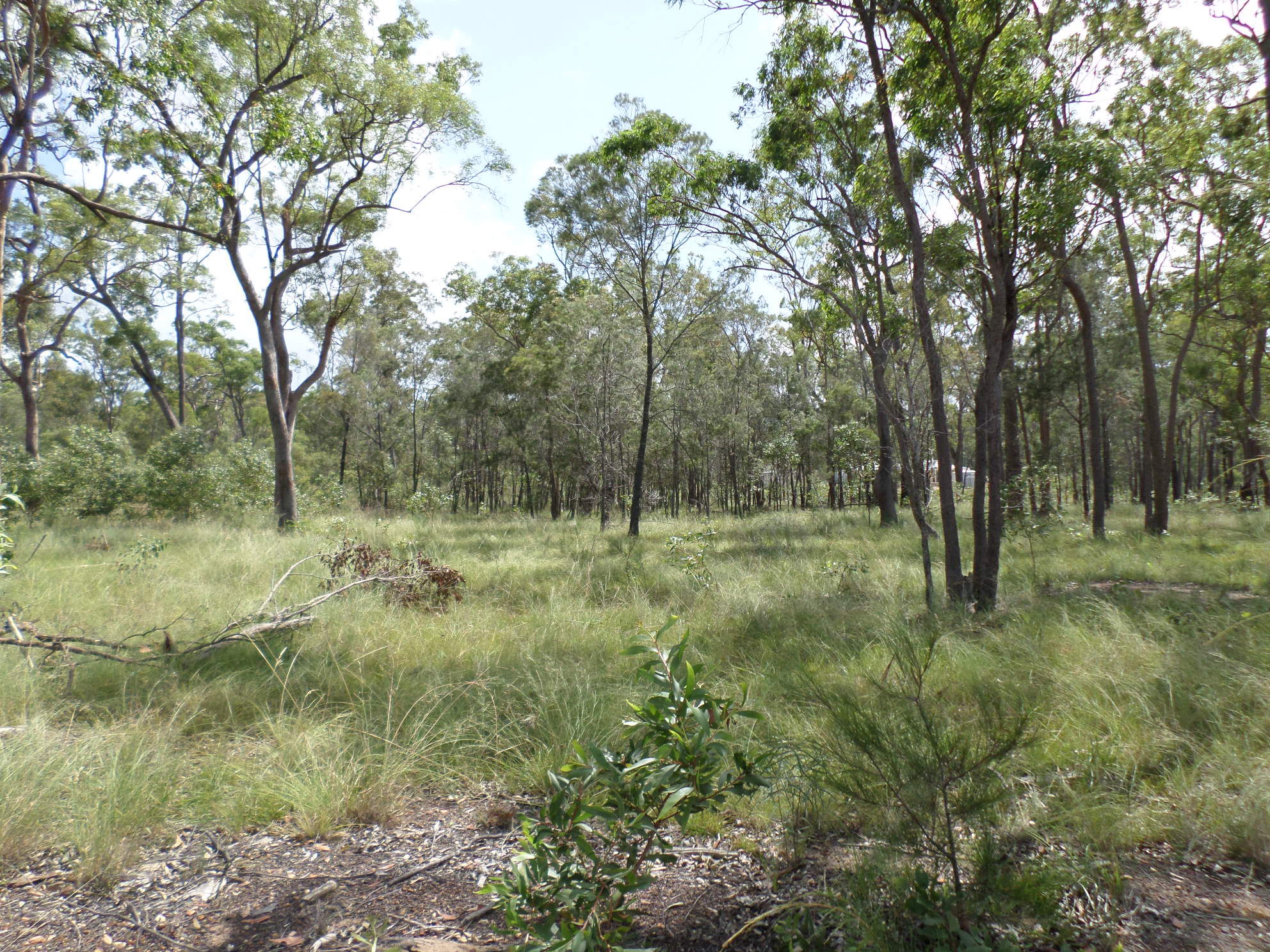 48 ONE WORLD DRIVE, REDRIDGE, 4660