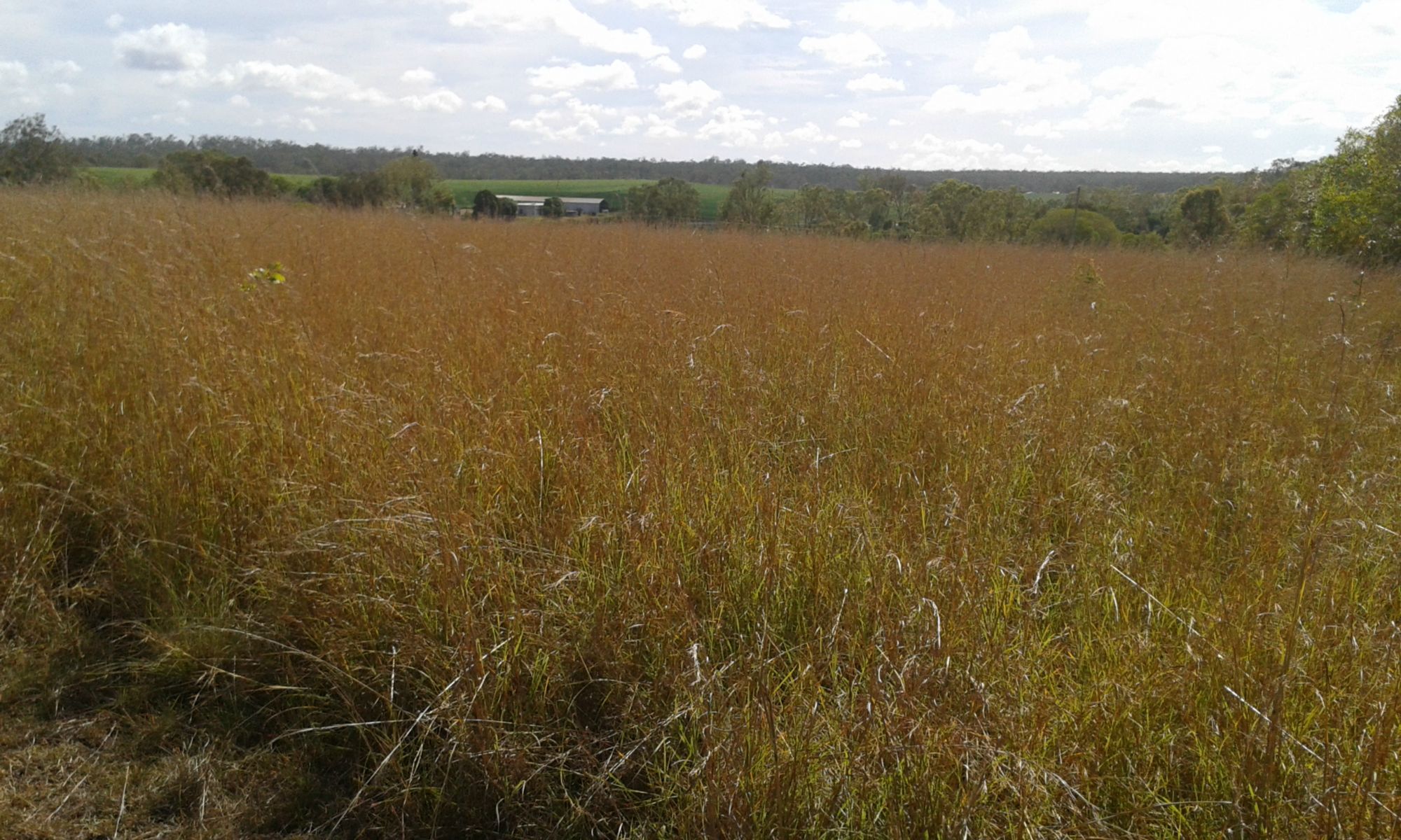 L1 BRUCE HIGHWAY, BOOYAL, 4671