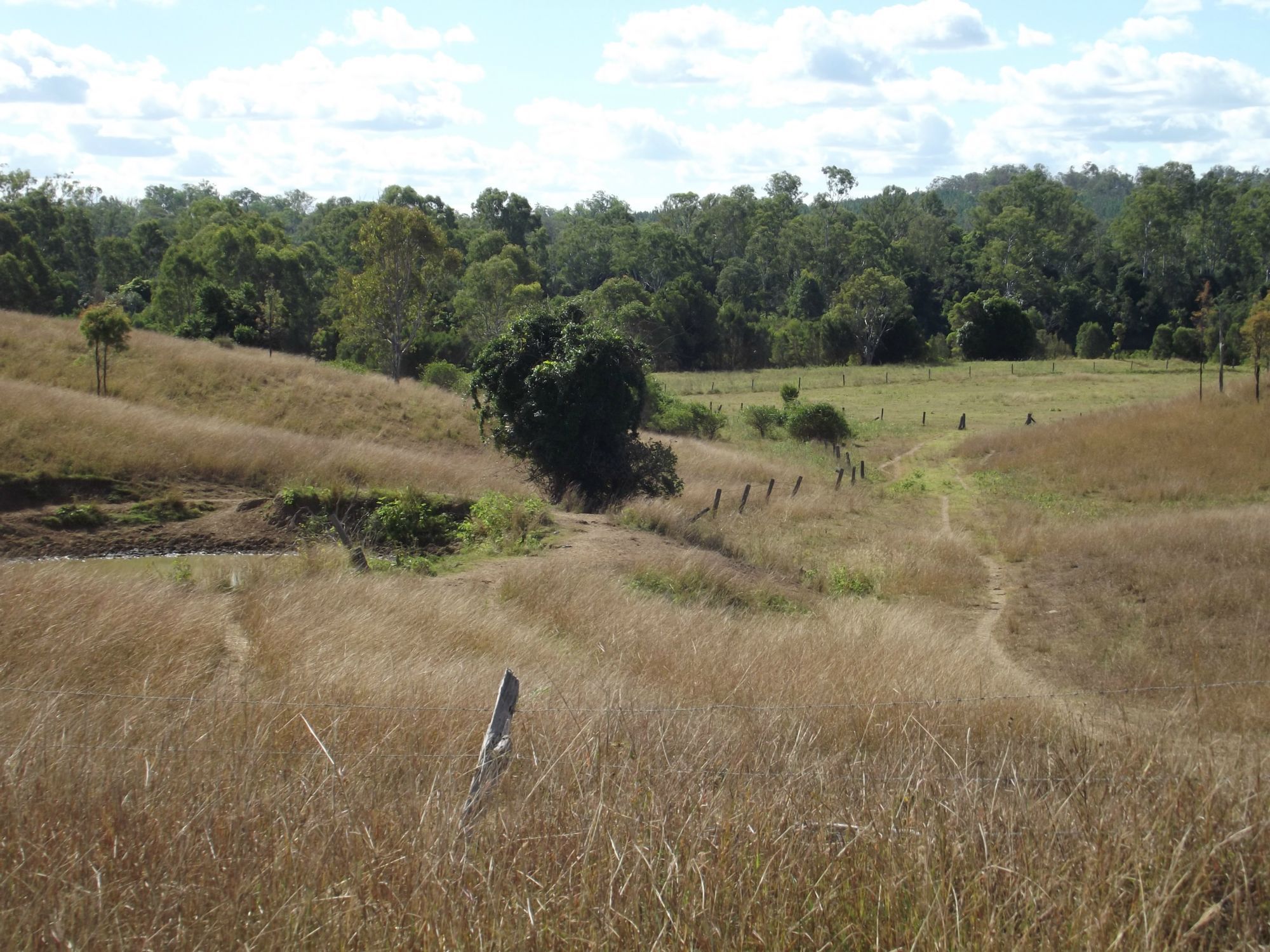 2 MILLERS ROAD, DUINGAL, 4671