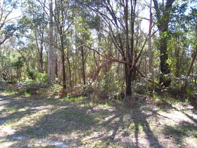 43 GROVE RD., RUSSELL ISLAND, 4184